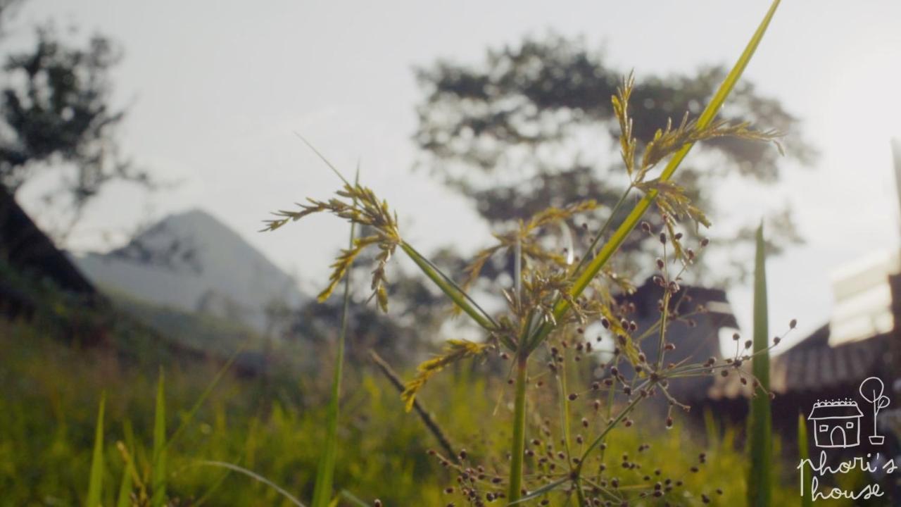 Phori'S House - Bamboo Forest 사파 외부 사진