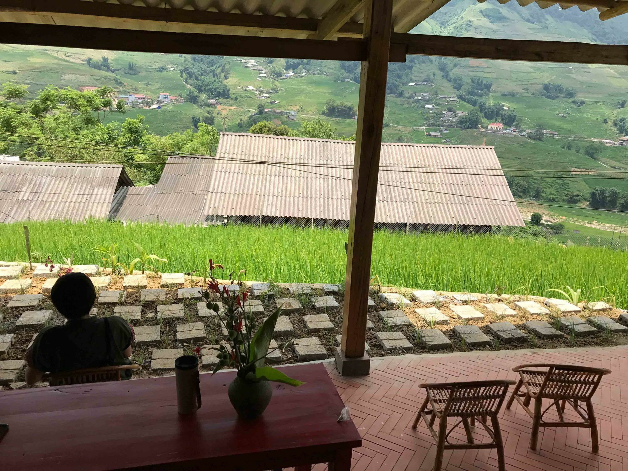Phori'S House - Bamboo Forest 사파 외부 사진